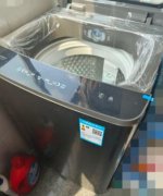 小天鹅（LittleSwan）波轮洗衣机全自动 8公斤大容量