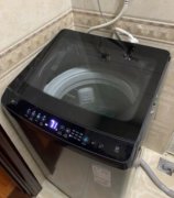 海尔（Haier）波轮洗衣机 房子不租了 着急买 350自取