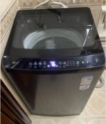 海尔（Haier）波轮洗衣机 房子不租了 着急买 350自取